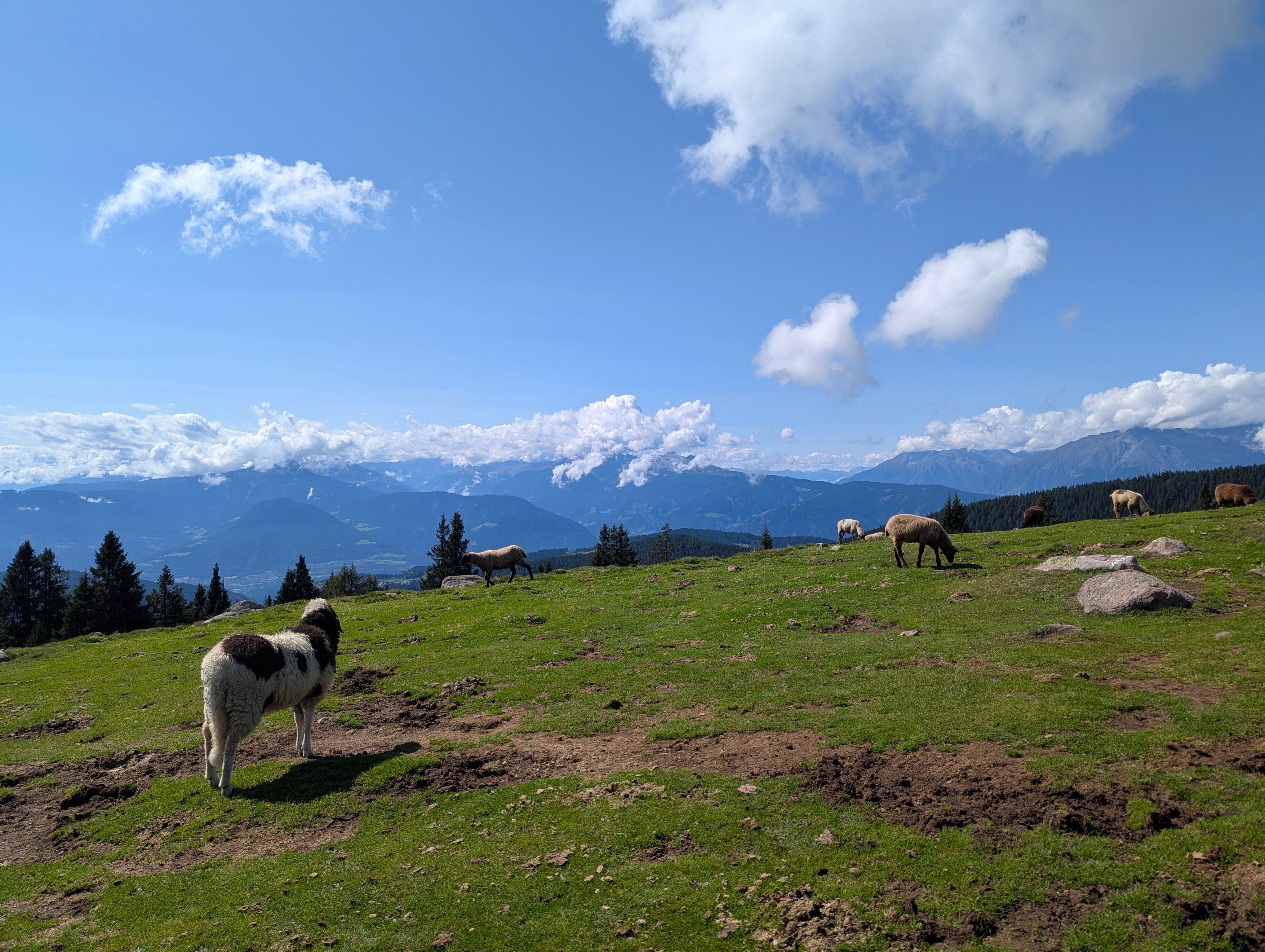 Croatia and Italy 2026